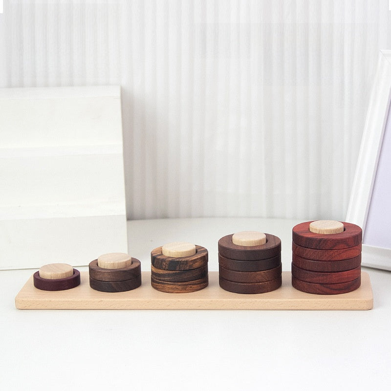 Montessori Wooden Shape Puzzle Toys, Pick and Choose