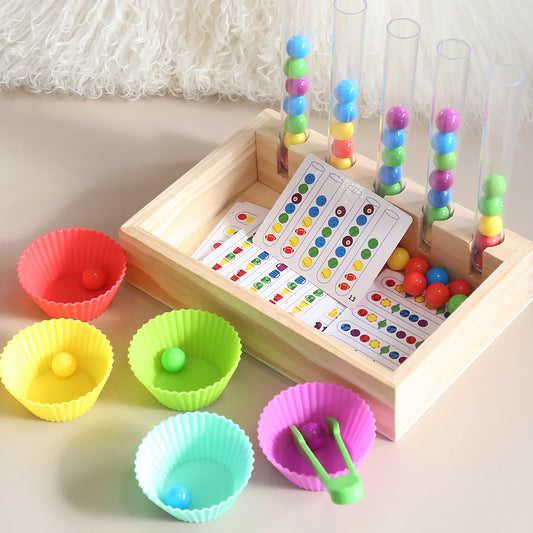 Maths Counting Activity